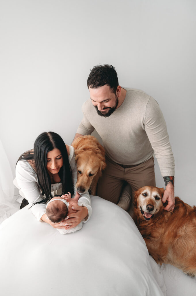 Newborn session with dog in Aberdeenshire