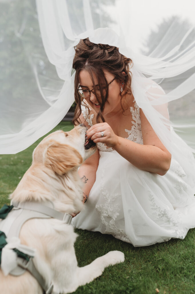 Candid moment between an Aberdeenshire bride and her dog at Maryculter House