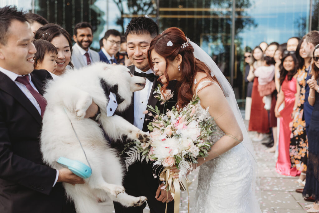 Candid moment between an Aberdeenshire couple and their dog at Meldrum House